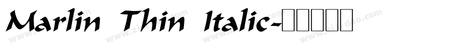 Marlin Thin Italic字体转换